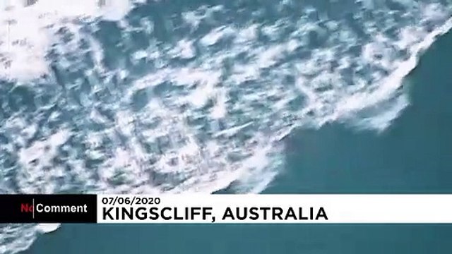 Australie: un surfeur tué par un requin