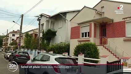 Soleil et pluie : gare aux moustiques !