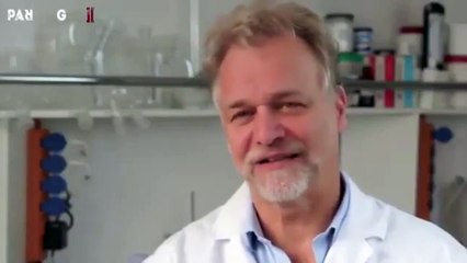 Qué cosas invalidan el efecto del CDS y MMS