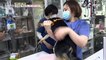 [LIVING] Veterinary Veterinary Clinic in the Age of Pets, 생방송 오늘 아침 20200608