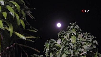 Gaziantep semalarında yükselen dolunay hayran bıraktı