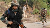Shopian encounter: 9 Hizb-ul Mujahideen terrorists killed in 24 hours