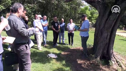 Şair Cahit Zarifoğlu, şiirleriyle anıldı