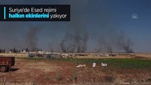 Esed rejimi sivillerin tarlalarını yakıyor