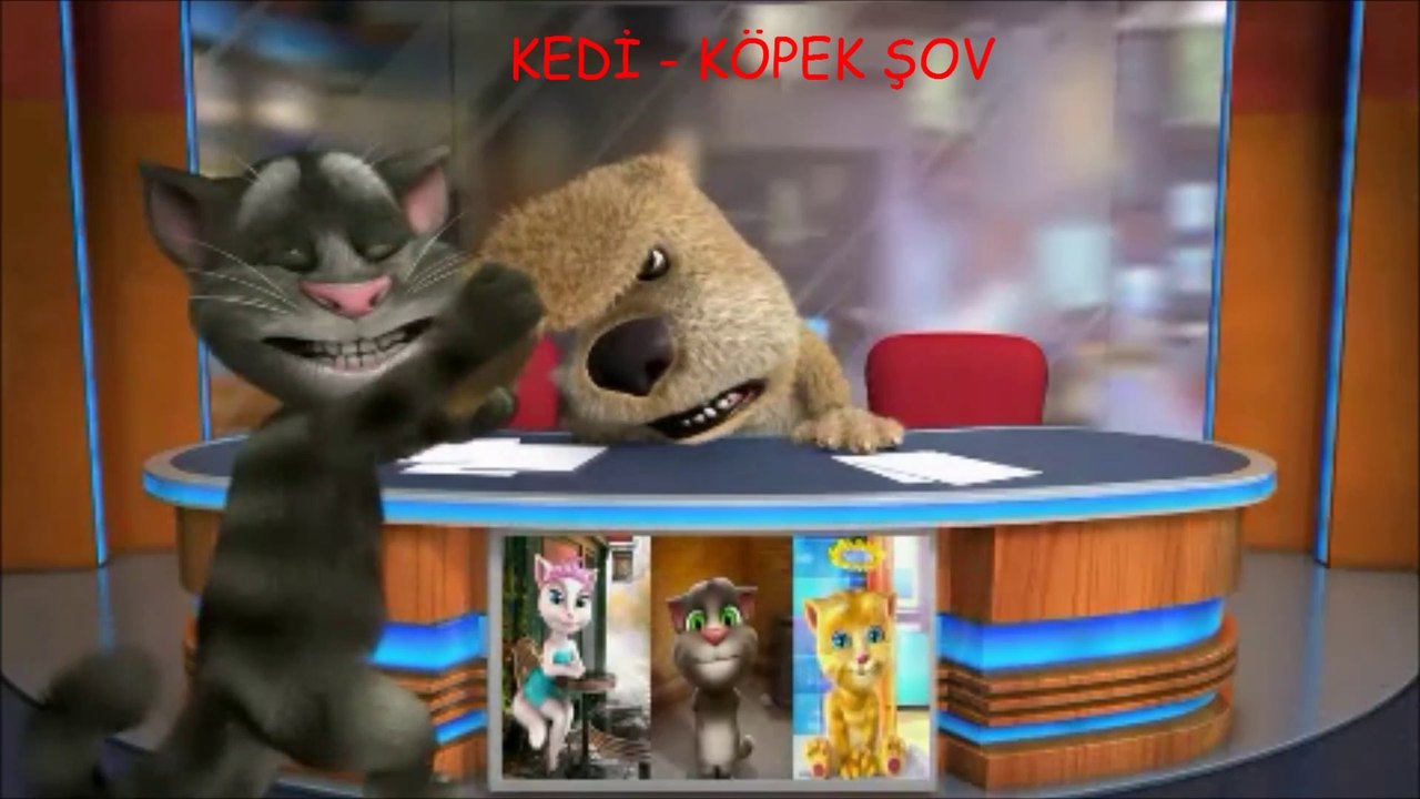 kedi köpek şov 1 - Konuşan kedi Tom ve tatlı köpek benn ilk kez sahneye çıkıp saçmalıyorlar