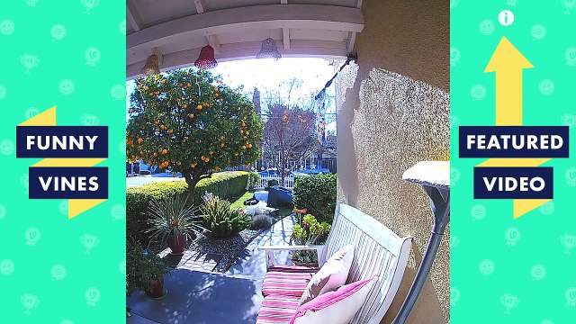 111. TRY NOT TO LAUGH - WATCH OUT! FAILS INCOMING!