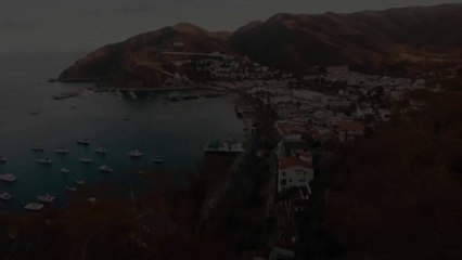 Invitation To Learn How I Built My Internet Business