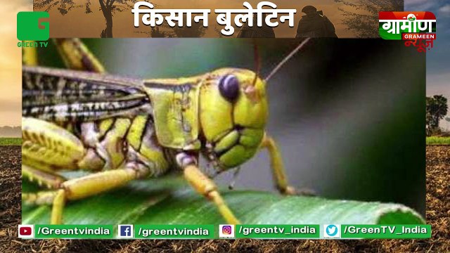 Sugar के न्यूनतन समर्थन मूल्य में हो सकती है बढ़ोत्तरी NITI Aayog ने की MSP बढ़ाने की मांग : Kisan Bulletin | Grameen News