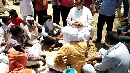 सरसों से भरी ट्रॉली पलटी