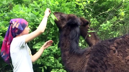 Liseli Selvi pandemi sürecini develeriyle ilgilenerek geçiriyor - SAMSUN