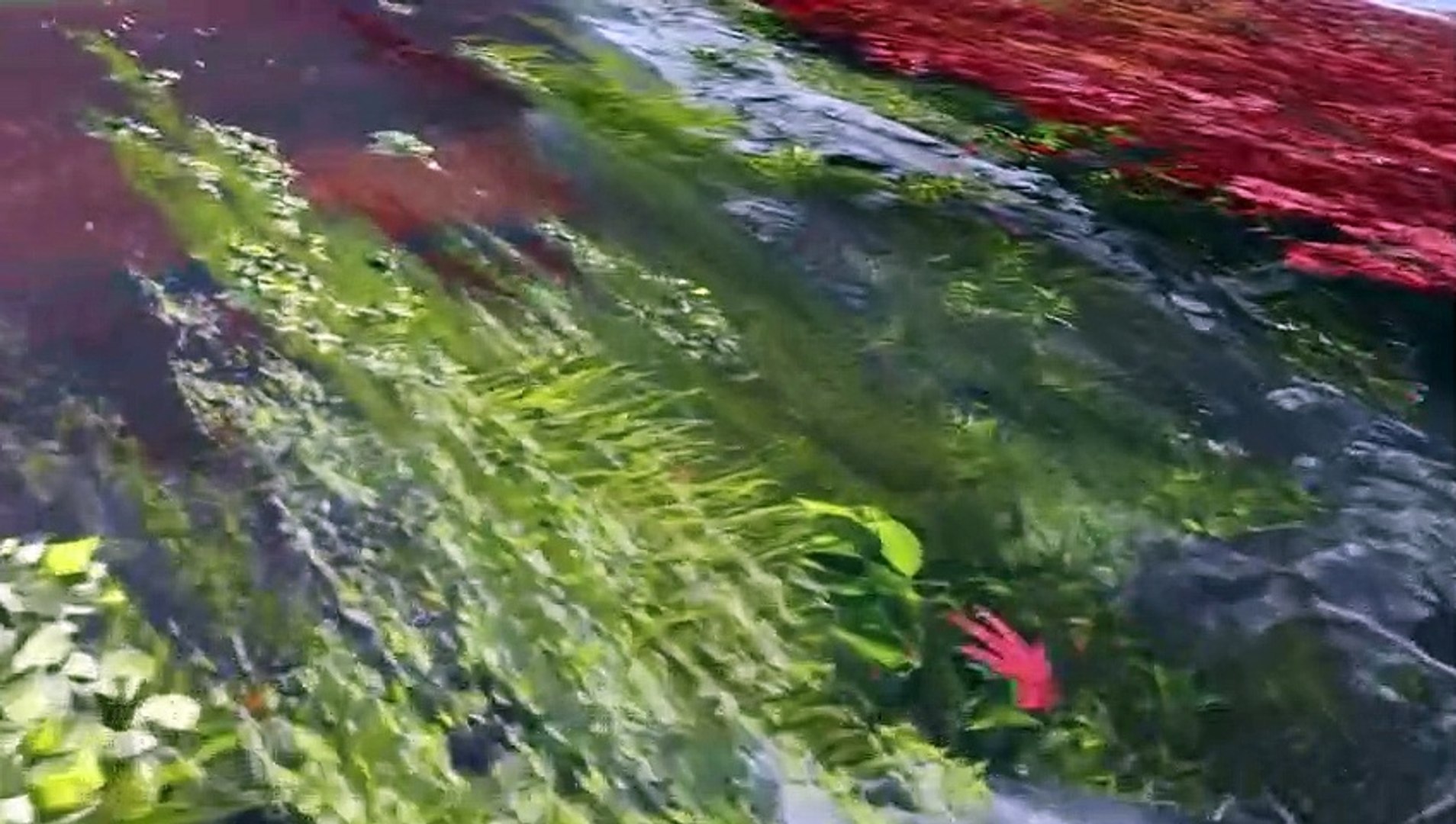 Galaxy Fold Official Introduction video