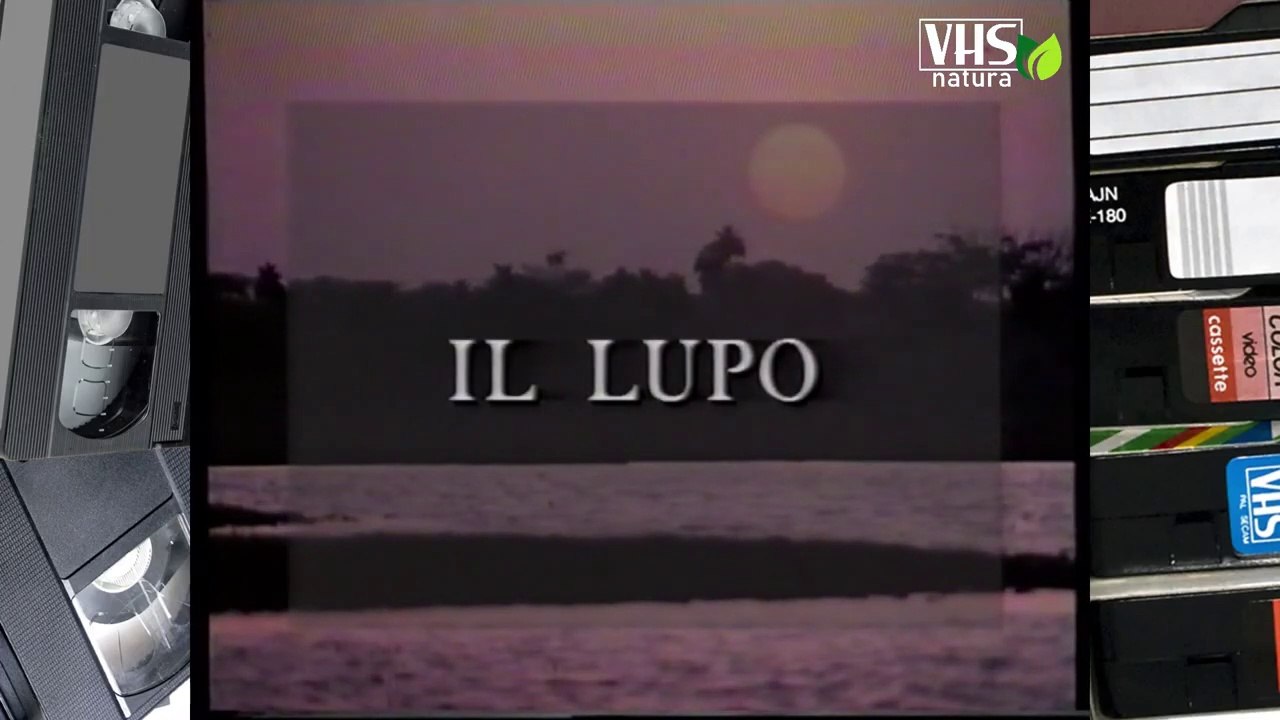 IL LUPO