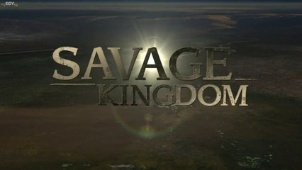 Savage Kingdom S01E06End - Win or Die Nat Geo Wild HD
