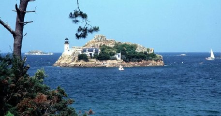 Finistère : des plages et des îles fermées pour protéger les oiseaux installés pendant le confinement