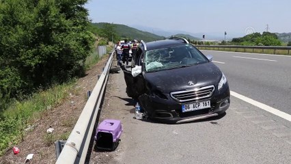 Download Video: Anadolu Otoyolu'nda lastiği patlayan araç zincirleme kazaya neden oldu - DÜZCE