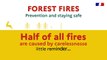 Forest fires : prevention and staying safe.