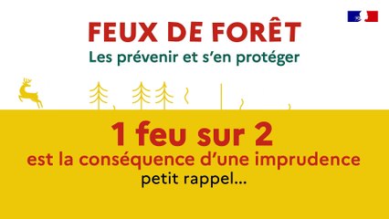 Feux de forêt : les prévenir et s'en protéger