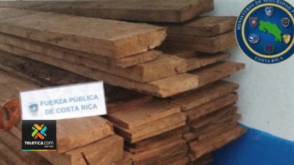 tn7-decomiso-de-madera-los-chiles-080620