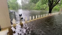 La tempête tropicale Cristobal s'abat sur le sud-est des États-Unis