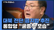 민주당, 대북 전단 금지법 추진...통합당 