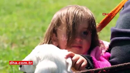 Kuzuyla birlikte annesinin sırtında... 5 yaşındaki Şirin'in yayla yolculuğu
