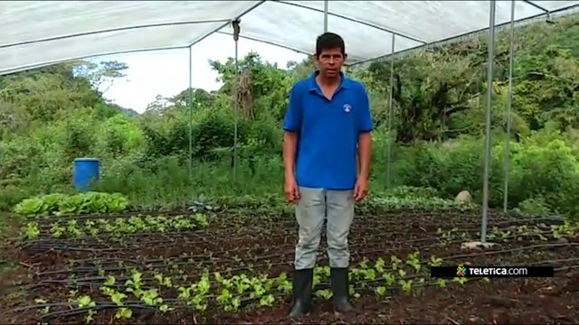 tn7-declaraciones-edwin-elizondo-080620