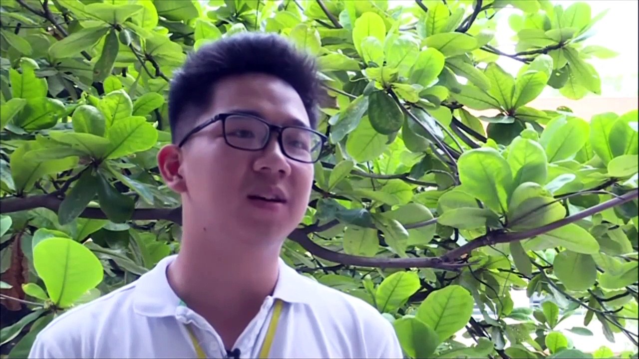 Sexualkunde-Unterricht in Vietnam: Das Tabu aufbrechen