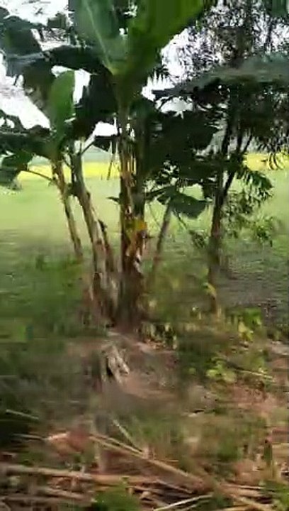 Manikgonj Explore