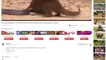 Buffalo crazy ,Save Lizard From ,7 Lion  Most ,Spectacular Big Cat, Attacks Compilation, including Lion