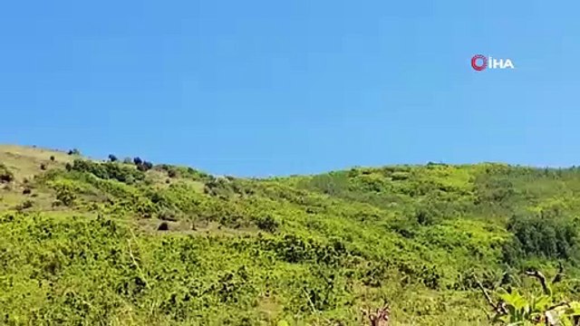 Bitlis’te 290 kilo EYP, 1 kilo plastik patlayıcı ve 152 adet fünye ele geçirildi