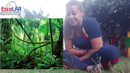 EscoLAR Educacional - Tia Tata - VIDEOAULA 01 (semana 2)