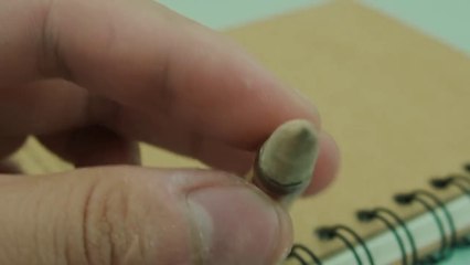 Bullet Shell + Matches and Burn