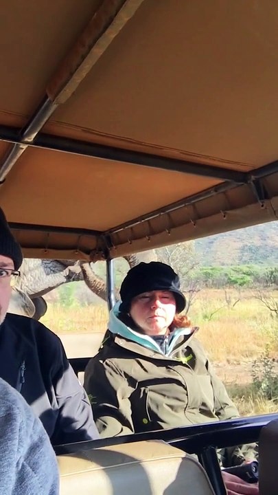 Ce touriste n'a pas l'air très rassuré pendant son safari... tête trop drôle