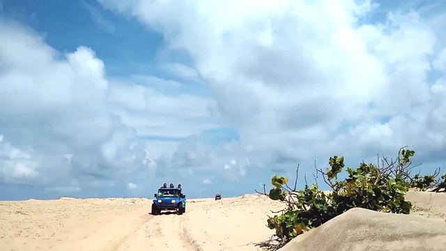 Pexels Videos 2097419