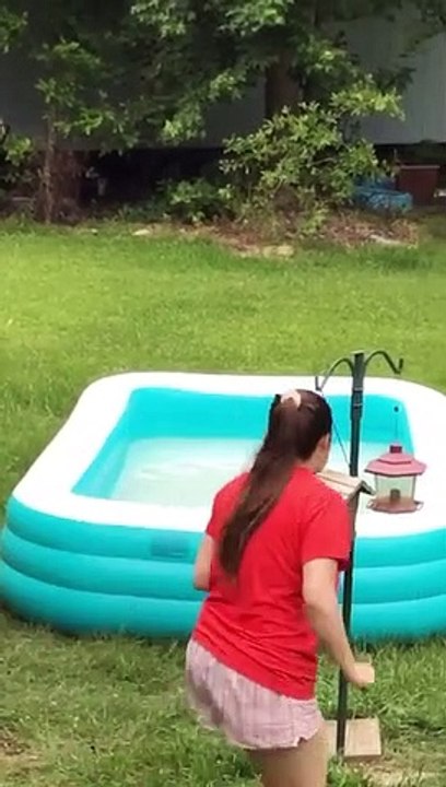 Elle voulait venir au secours de cet écureuil  tombé dans une piscine gonflable malgré sa peur mais l’animal n’était pas très reconnaissant.