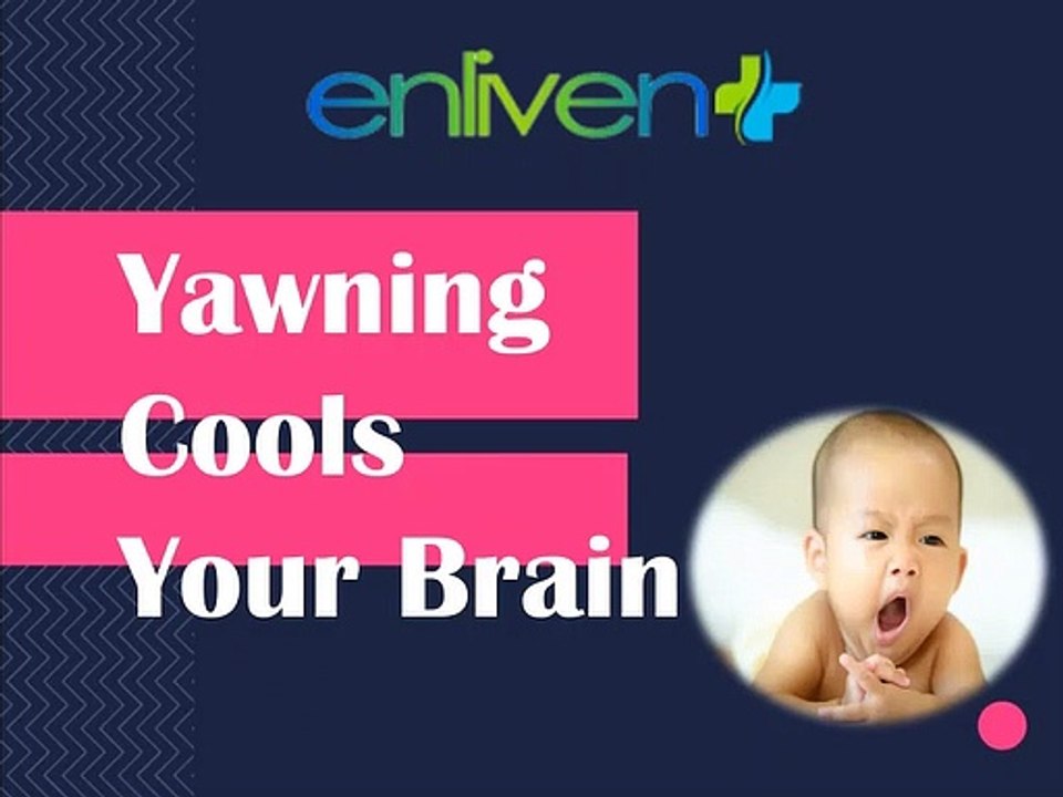 Yawning Cools Your Brain