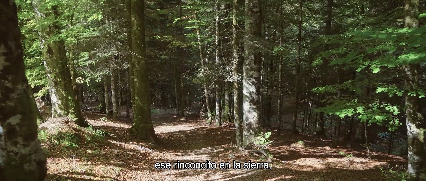 Vídeo turístico de España para julio