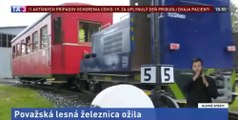 Považská lesná železnica (PLŽ) ožila