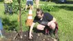 Mason City Iowa Students Plant Trees In Flood Plains