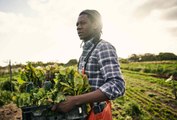 5 Organizations That Support Black Farmers and Food Justice