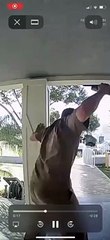 UPS Driver Scared of Doggo