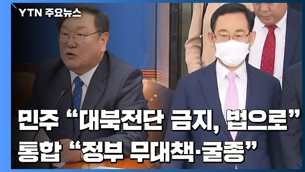 민주당 "대북전단 법으로 금지"...통합당 "정부 무대책·굴종" / YTN