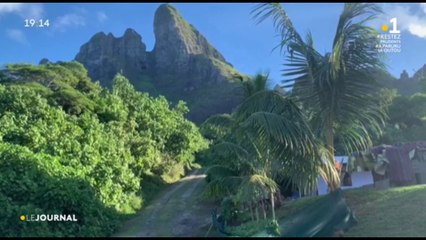 Les potagers ont fleuri pendant le confinement