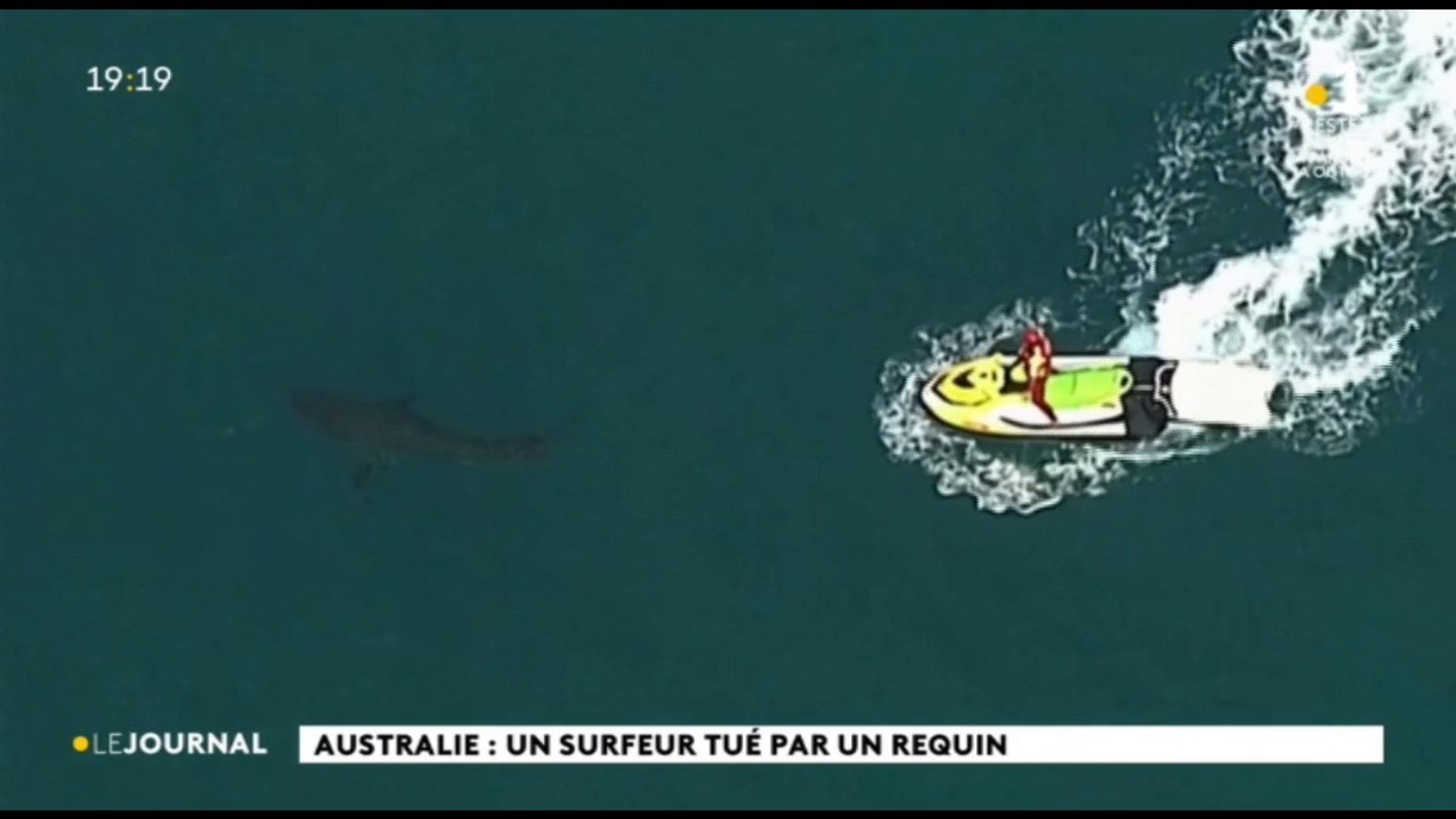 Australie, un surfeur tué par un requin - Vidéo Dailymotion