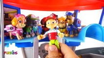 Learn Colors with Paw Patrol Skye Cupcakes Sprinkles & Icing