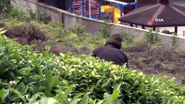 Çay Bahçeleri Birleşmiş Milletler Gibi...