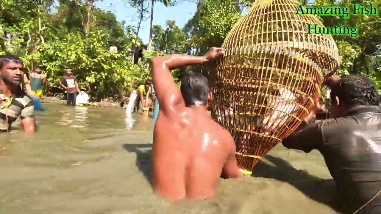 Enjoy Festival Of Fish catching!  Formidable Fishing by Polo