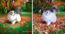 Cette illustratrice dessine vos animaux de compagnie à la façon Disney