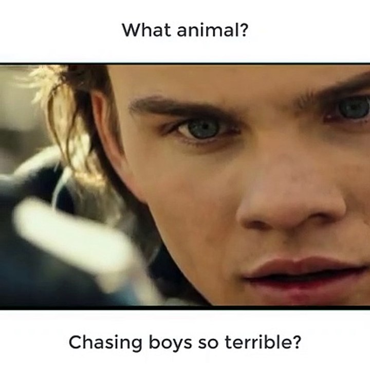What_animal