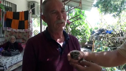 Yaralı bulunan çobanaldatan kuşu tedaviye alındı - MERSİN